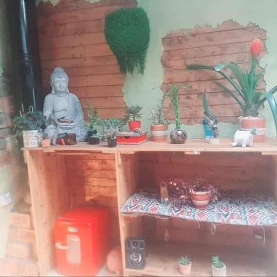 Guest house Botanico