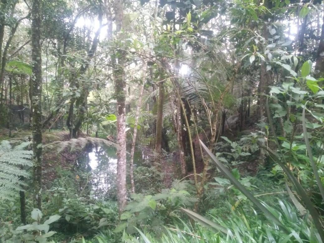 Botanico Medellin