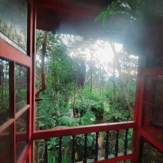 Botanico Guest house Medellin