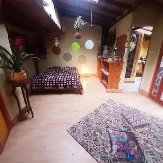 Botanico Guest house Medellin