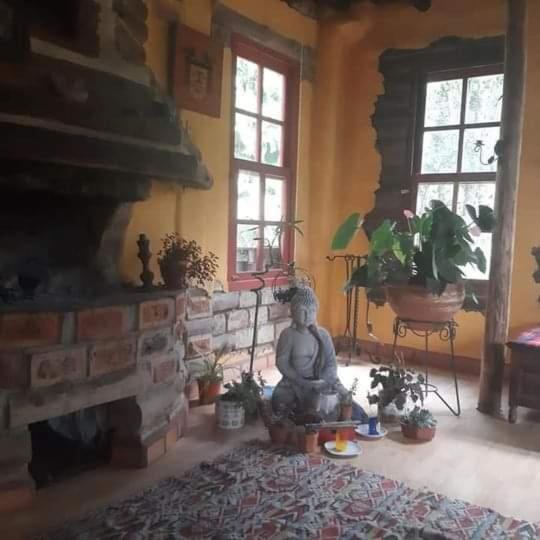 Guest house Botanico *