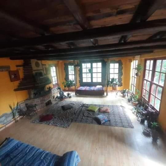 Guest house Botanico