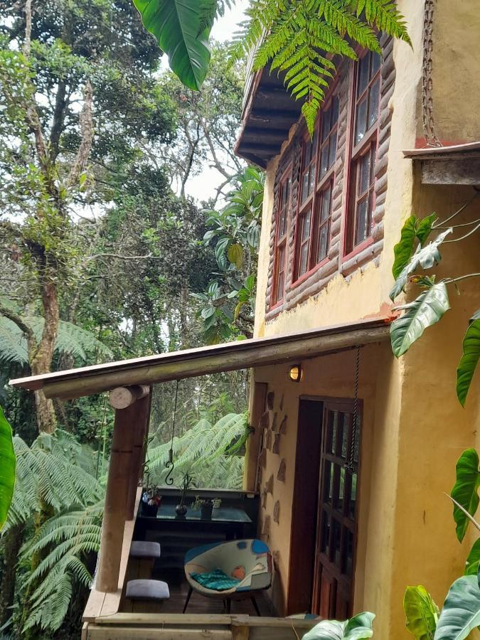 Botanico * Medellin