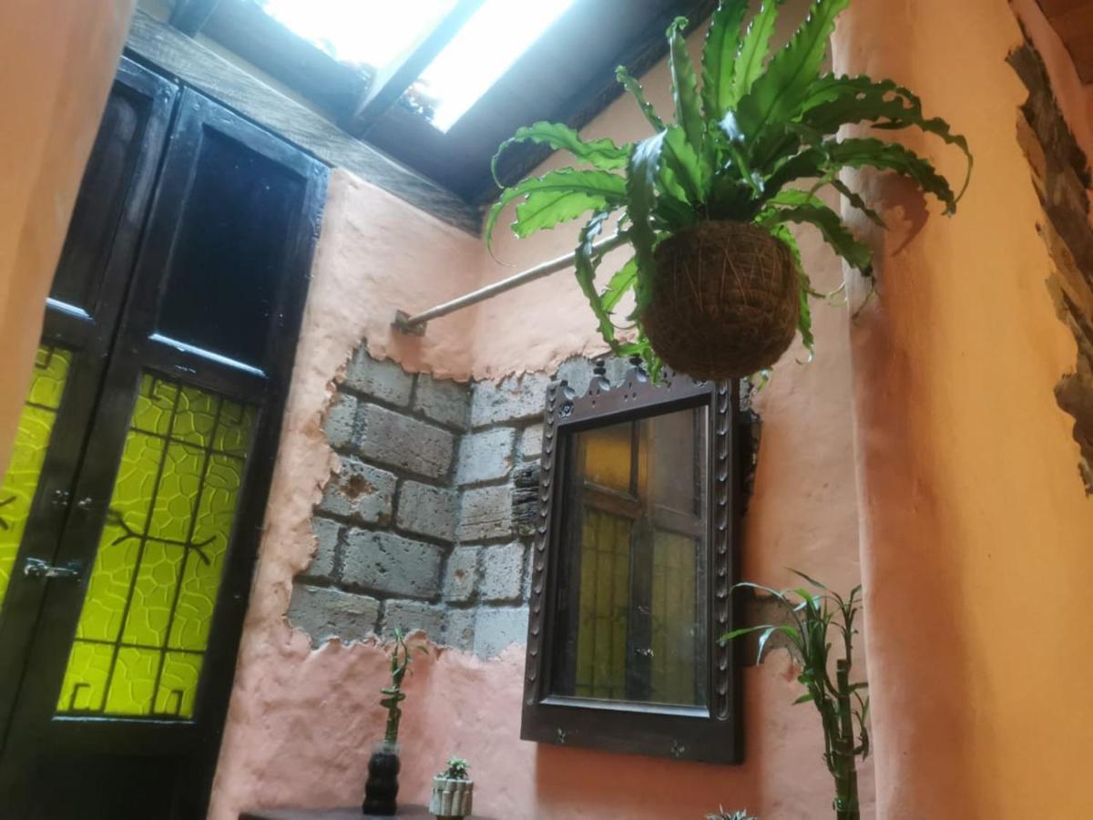 Guest house Botanico