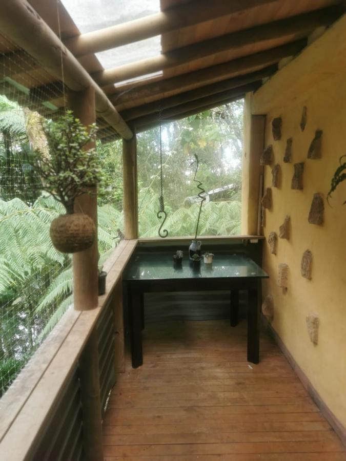 Botanico * Medellin